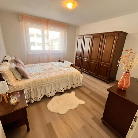 Monthey Appartement Daire Monthey